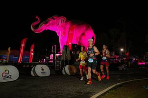 BIB: 
                            <button type="button" onclick="openModal(26534148)" class="btn btn-primary btn-sm float-right btn-popup" data-toggle="modal" data-target=".modal-high-quality">
                        <i class="fas fa-shopping-cart"></i> Add to Cart
                    </button>
                                            <button type="button" onclick="isThisMe(26534148, true)" class="btn btn-success btn-sm float-right btn-popup btn-isme hidden" data-toggle="tooltip" data-placement="bottom" title="นี่คือรูปของคุณใช่ไหม คลิกที่นี่เพื่อเอาเข้าอัลบั้ม">
                        <i class="fas fa-plus"></i> Add to album
                    </button>
                    <button type="button" onclick="isThisMe(26534148, false)" class="btn btn-warning btn-sm float-right btn-popup btn-isnotme hidden">
                        <i class="fas fa-ban"></i> Remove from album
                    </button>